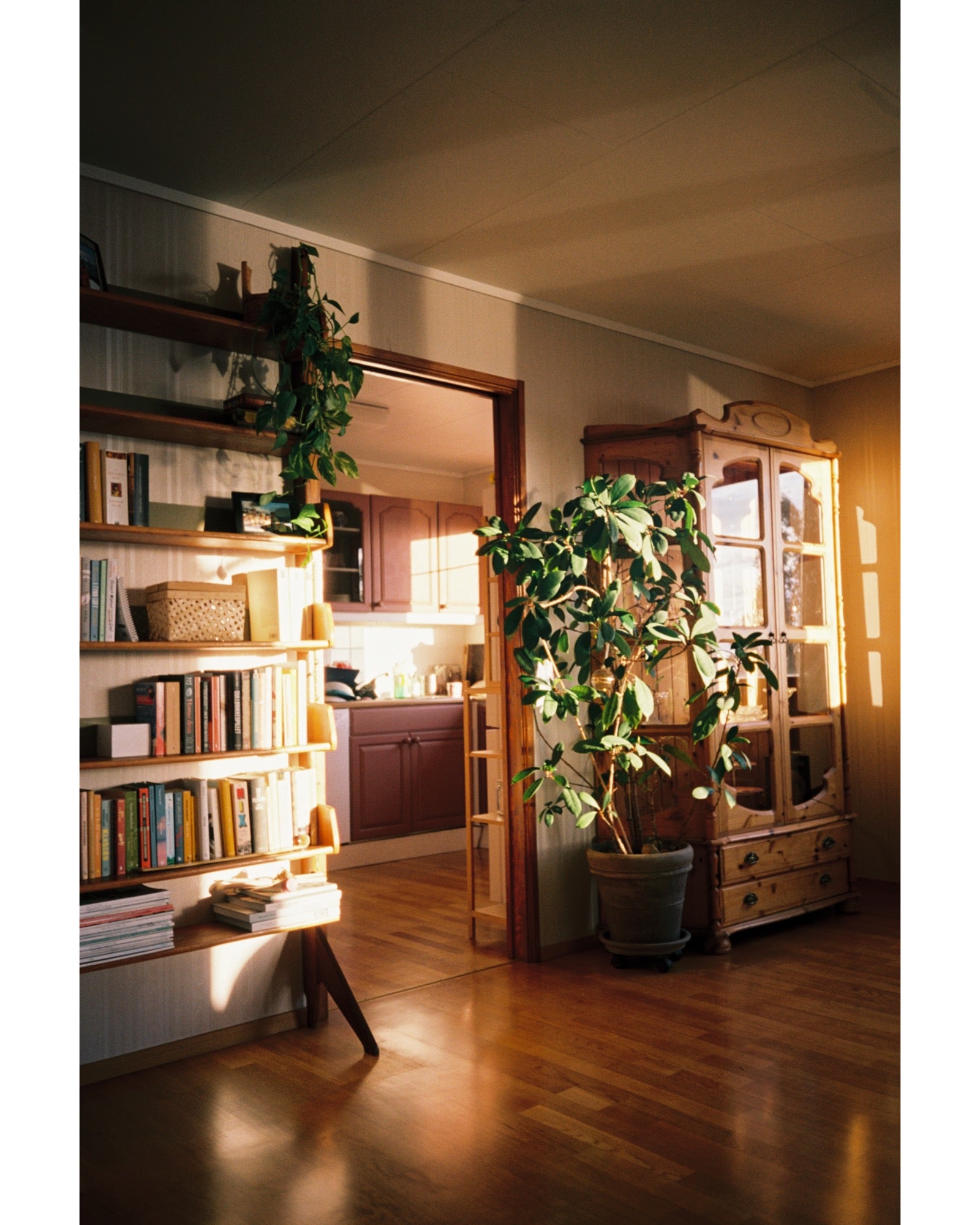 Kodak Portra 160