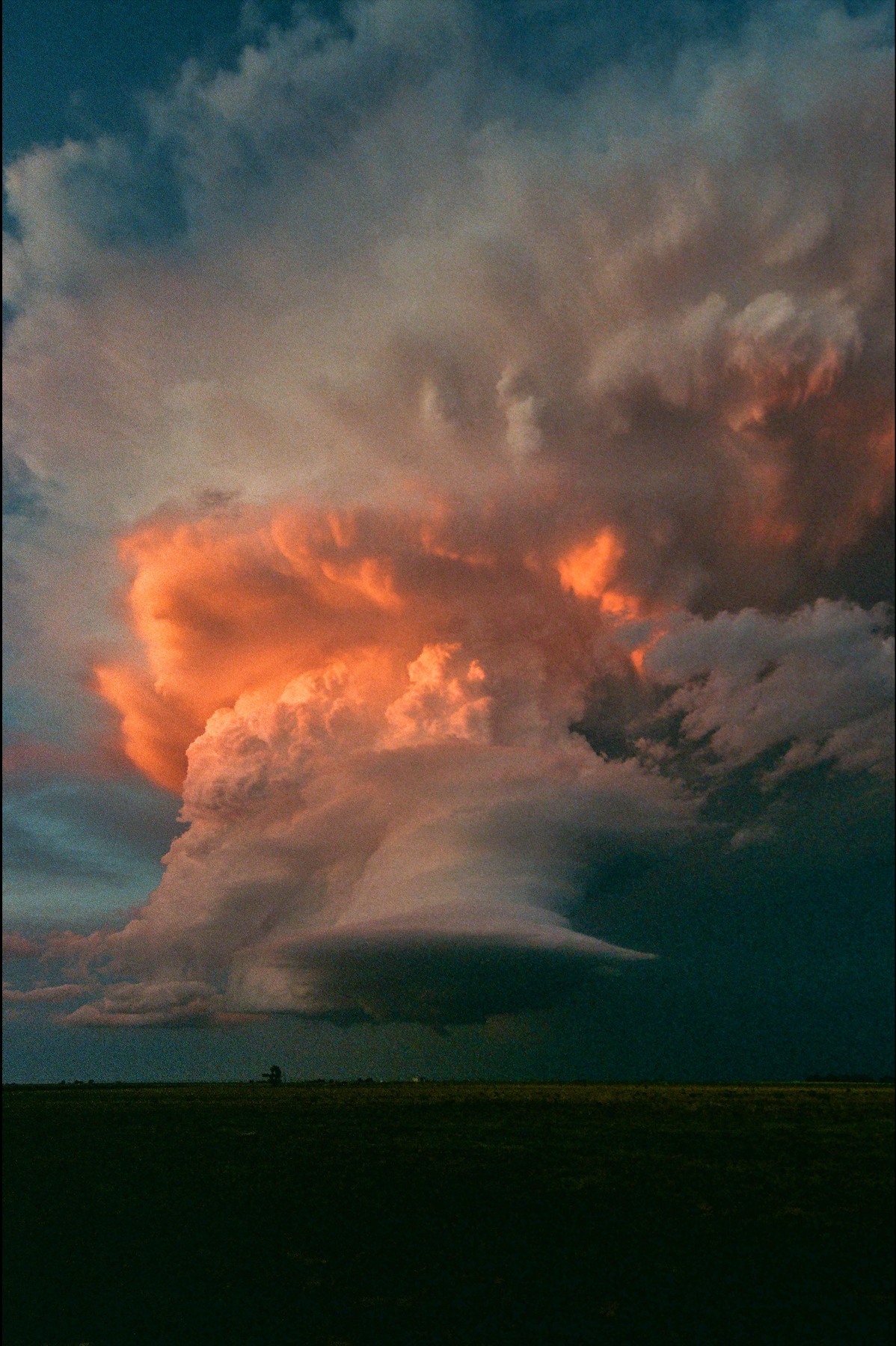 Kodak Portra 160