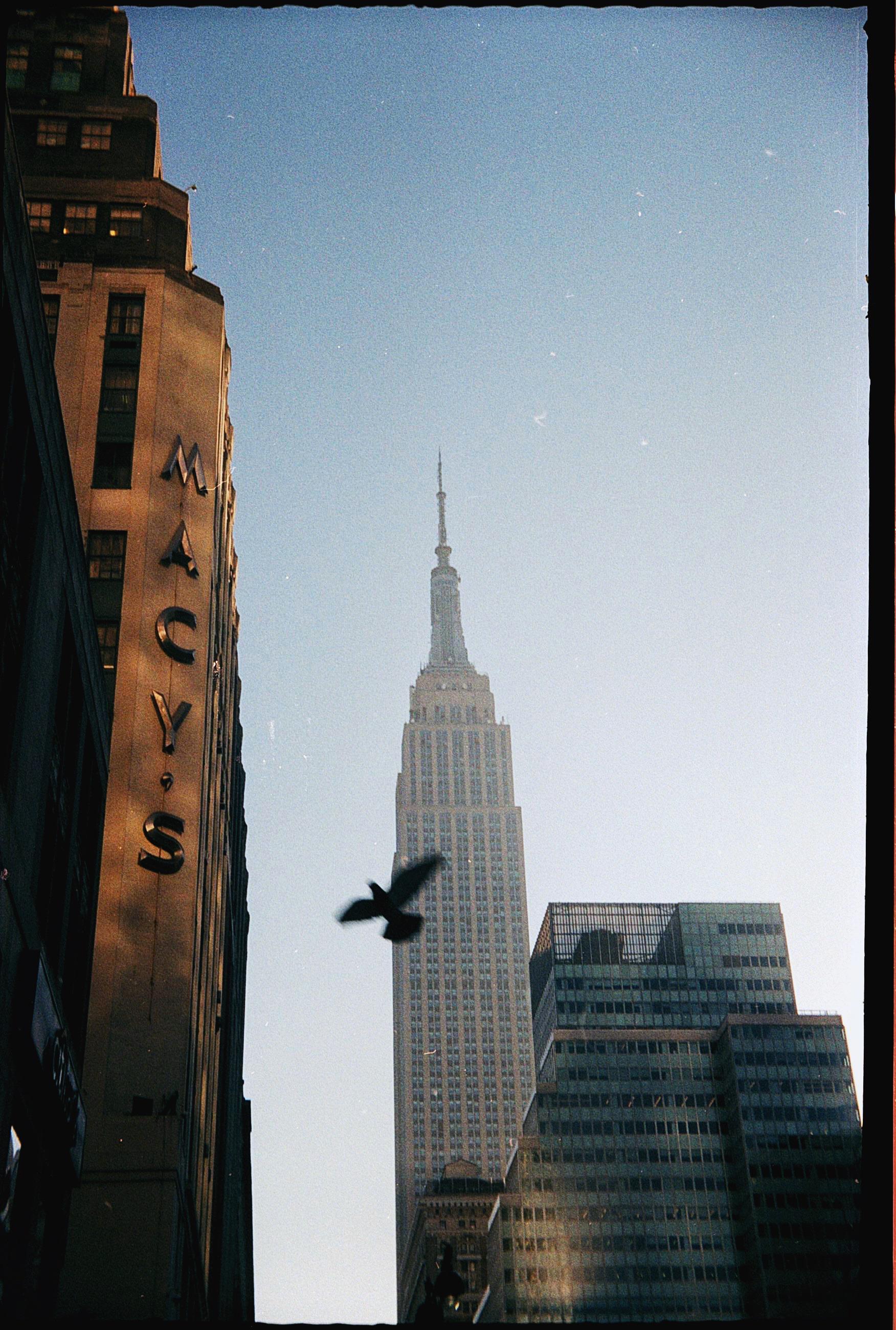 Fujifilm 200